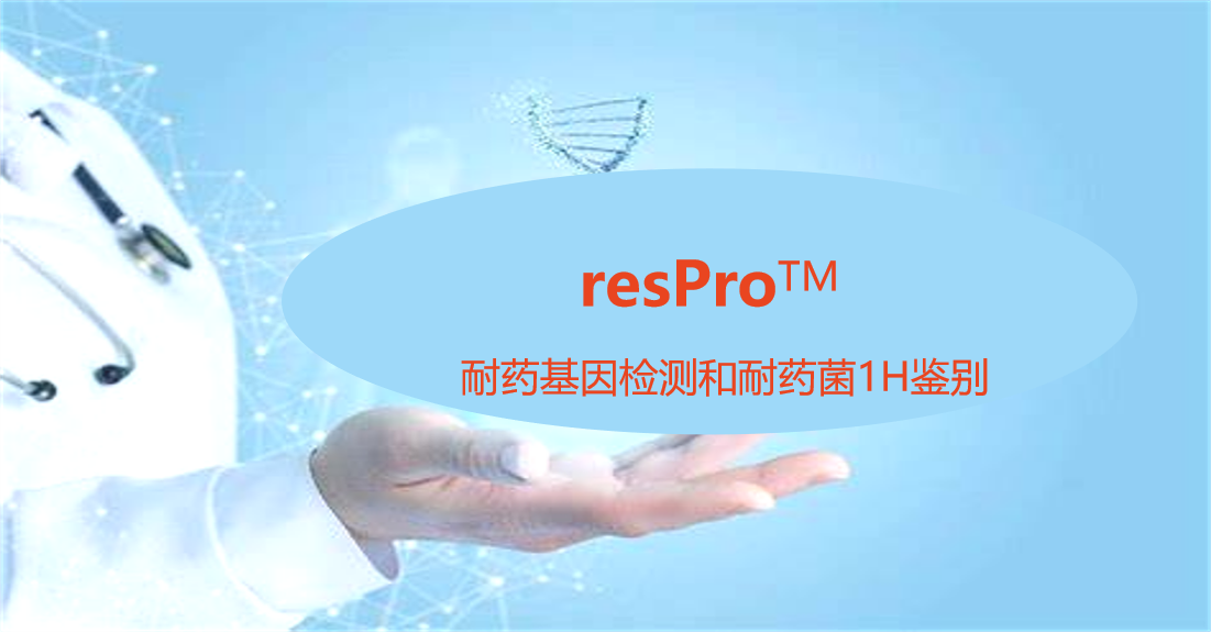 resPro，细菌耐药基因谱