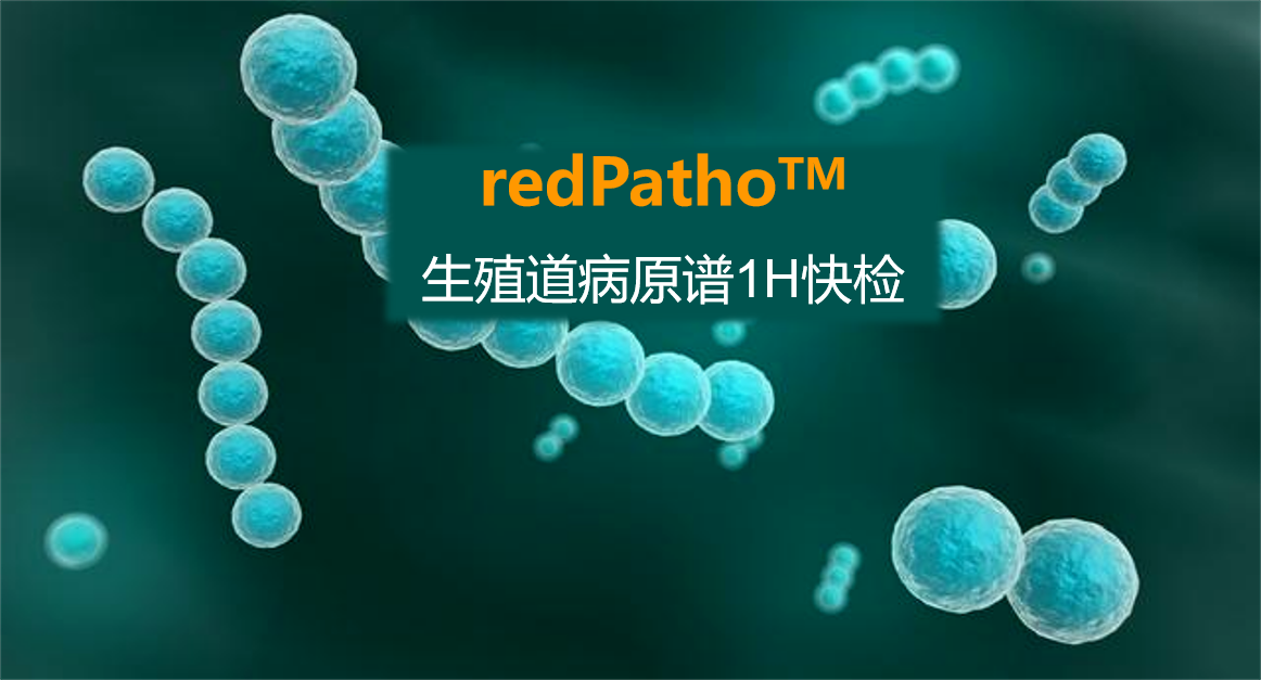 redPatho，生殖道感染病原谱