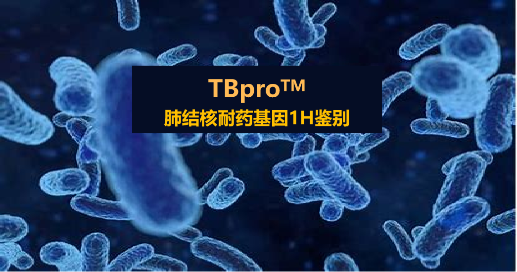 TBpro，结核菌耐药谱
