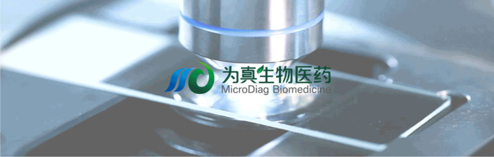 王莹院长领衔，王弢博士技术负责的研发项目获浙江省2024年度“尖兵”“领雁”研发攻关计划项目立项